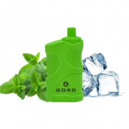 Электронная сигарета Gord G-05 4000 Mint Ice (Ледяная Мята)