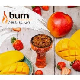 Табак Burn Mild Berry (Бёрн Манго Земляника) 100 грамм 