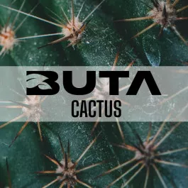 Табак Buta Cactus (Бута Кактус) 50 грамм
