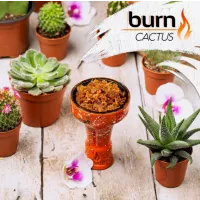 Табак Burn Cactus (Берн Кактус) 100 грамм