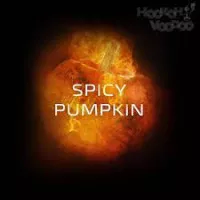 Бестабачная смесь Do You Spicy Pumpkin (Ду Ю Пряная Тыква) 50 грамм