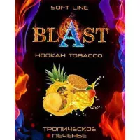 Табак Blast (Бласт) Тропическое Печенье 100г