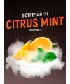 Табак 4:20 Citrus Mint (Цитрус Мята) 100 грамм - Фото 2