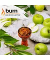 Табак Burn Famous Apple (Бёрн Знаменитое яблоко) 100 грамм - Фото 2