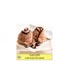 Табак Tangiers Noir Chocolate Iced Cream №89 (Танжирс Шоколадное Мороженое) 250 грамм - Фото 1