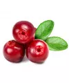абак Vag Cranberry (Ваг Клюква ) 50 грамм - Фото 1