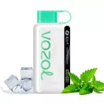 Электронная сигарета Vozol 12000 Cool Mint (Мята) 