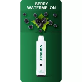Електронна сигарета Betamax Vantasy 5000 Berry Watermelon (Кавун Ягоди) 
