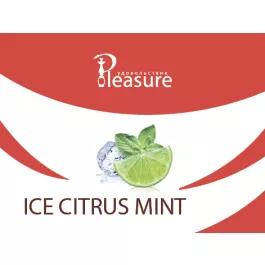 Табак Pleasure Ice Citrus Mint (Плежер Айс Цитрус Мята) 100 грамм тестер