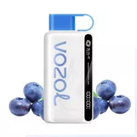 Електронна сигарета Vozol 12000 Blueberry Storm (Чорниця) 