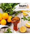 Табак Берн Burn Lemon mint (Берн Лимон Мята) 100 грамм - Фото 2