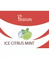 Табак Pleasure Ice Citrus Mint (Плежер Айс Цитрус Мята) 100 грамм тестер - Фото 2